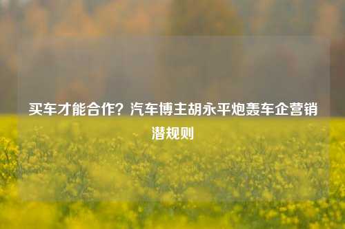 买车才能合作？汽车博主胡永平炮轰车企营销潜规则