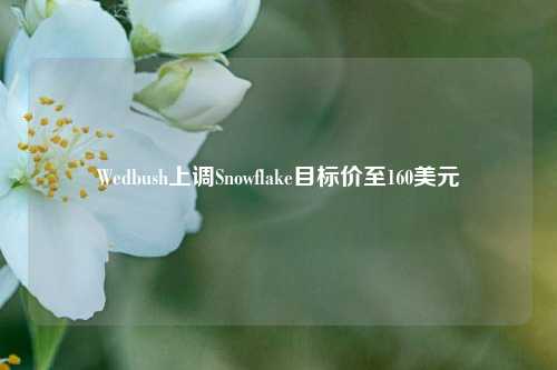 Wedbush上调Snowflake目标价至160美元