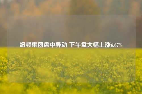 纽顿集团盘中异动 下午盘大幅上涨6.67%