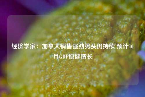 经济学家：加拿大销售强劲势头仍持续 预计10月GDP稳健增长