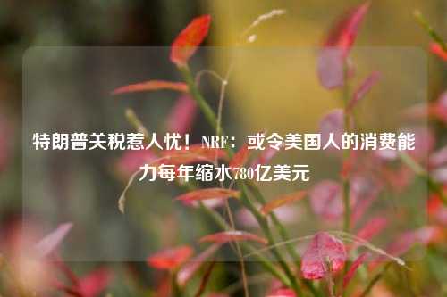 特朗普关税惹人忧！NRF：或令美国人的消费能力每年缩水780亿美元