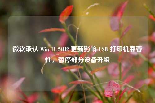 微软承认 Win 11 24H2 更新影响 USB 打印机兼容性，暂停部分设备升级