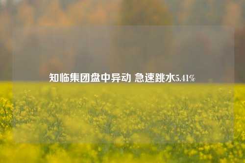 知临集团盘中异动 急速跳水5.41%