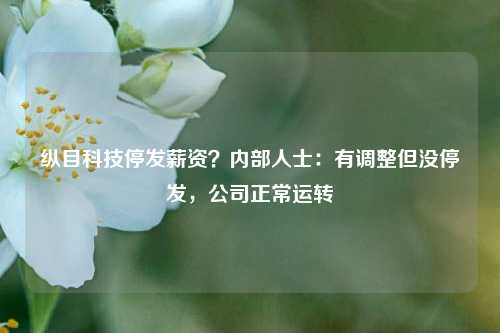 纵目科技停发薪资？内部人士：有调整但没停发，公司正常运转