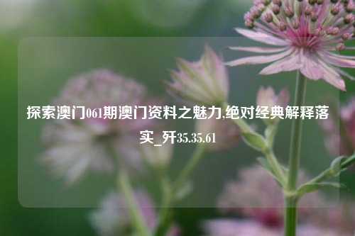 探索澳门061期澳门资料之魅力,绝对经典解释落实_歼35.35.61