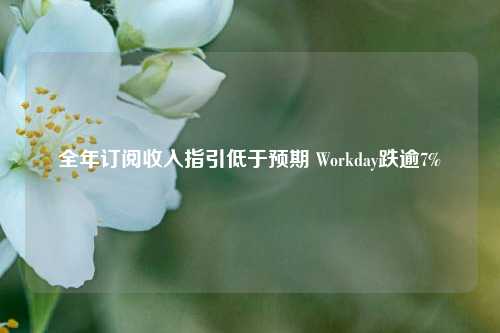 全年订阅收入指引低于预期 Workday跌逾7%