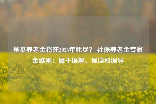 基本养老金将在2035年耗尽？ 社保养老金专家金维刚：属于误解、误读和误导