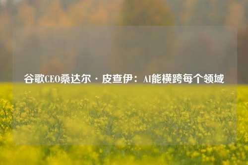 谷歌CEO桑达尔·皮查伊：AI能横跨每个领域